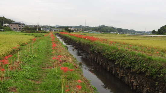 DSCN1031