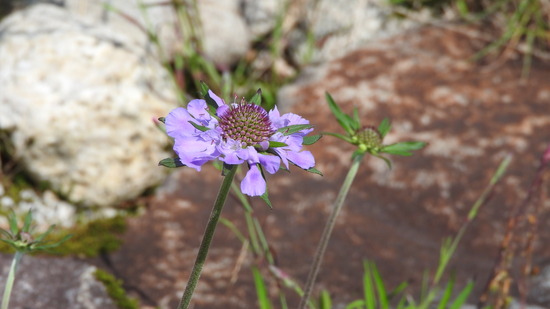 DSCN8149