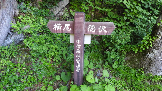 DSCN8049