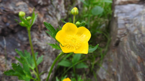 DSCN4769