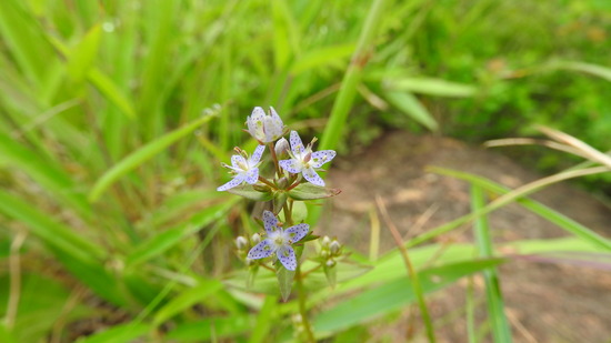 DSCN7905