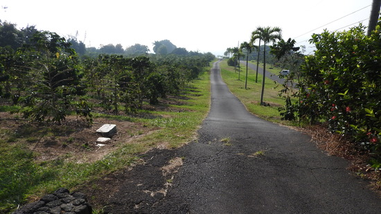 DSCN0966