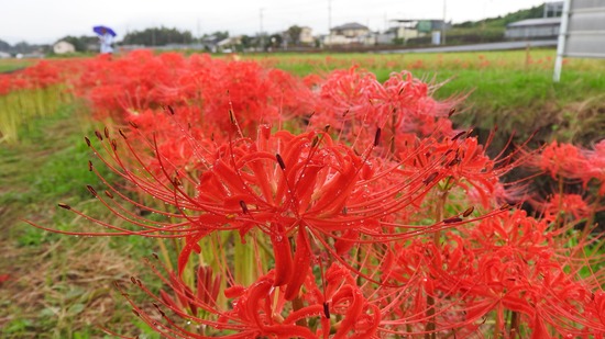 DSCN0786