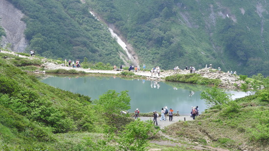 DSCN7546