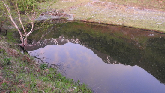 DSCN4861