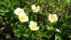 DSCN9015