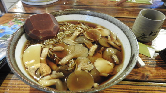 DSCN4494