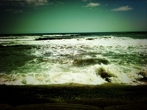spring wave