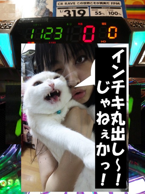 DVC00048pppzz