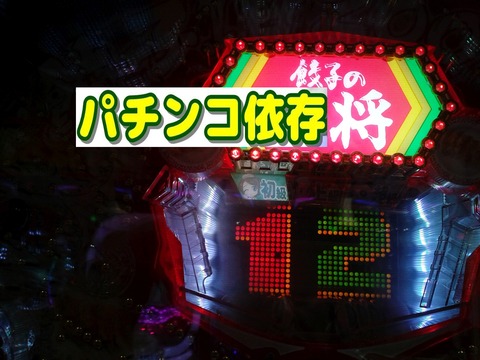 DVC00034pp
