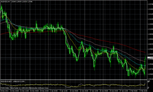 audkiwi2.07.2012
