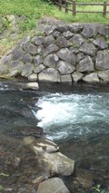 土手が石垣になっている地元の川