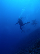 5f91c2f1.jpg