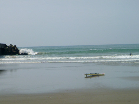 jpg5