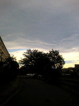 e04233f3.JPG