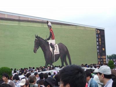 2010_0530 066