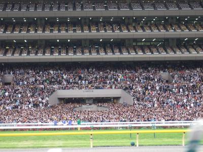 2010_0530 059