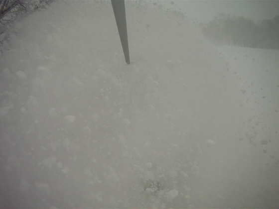 hokkaido_snowboard7