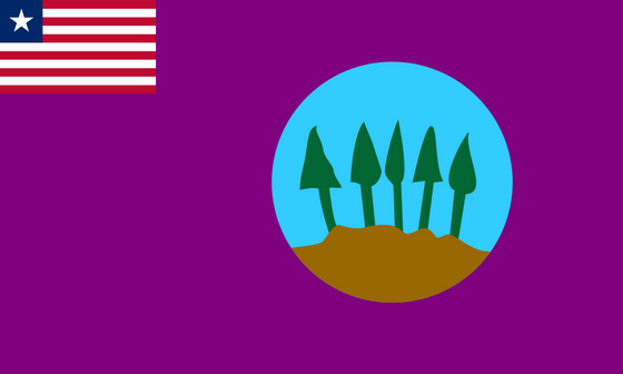 municipal_flags_31