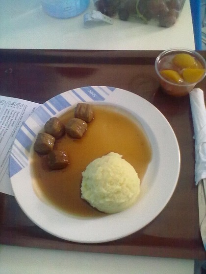 world_hospitalfood27