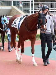 クロークス_20181216