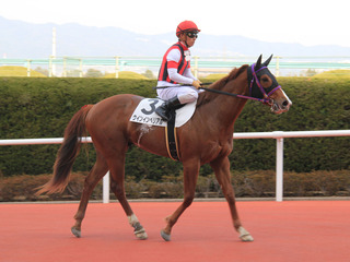 ウインインペリアル_20180420