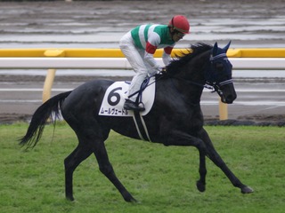 �ࡼ��������ɥ�