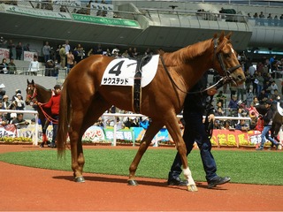 サクステッド_20180407