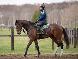 ���른������_20180511