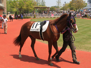 ウインインペリアル_20180518