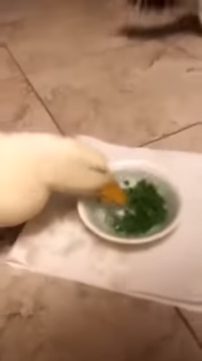 no title