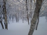 856822e3.JPG