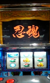 a8b7d66b.jpg