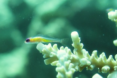 22 012