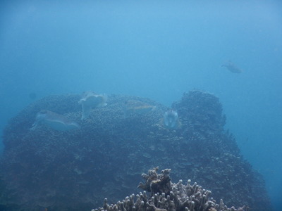 DSCN0945