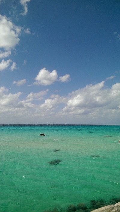 IMAG0280