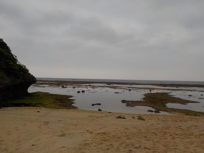 DSCN0056