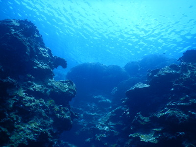 DSCN1203