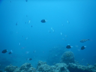 DSCN0924