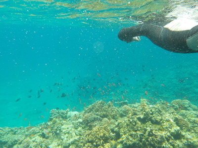 DSCN0191