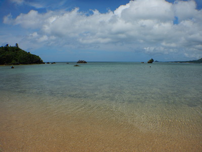DSCN8594