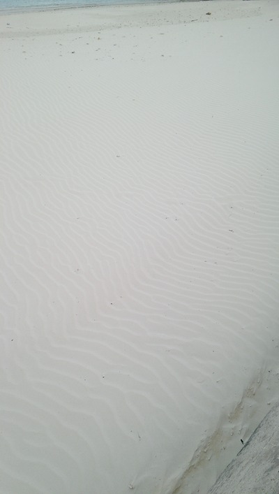 IMAG0300