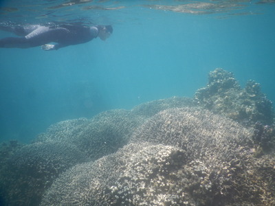 DSCN1080