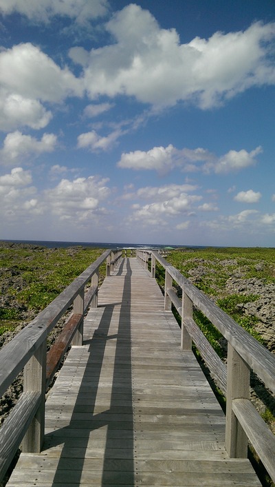 IMAG0287