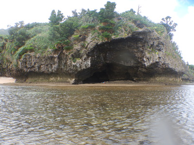 DSCN1474