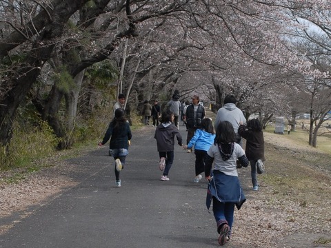 hanami-9-86_original-トリミング済み