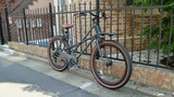 CIMG1903