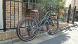CIMG1904
