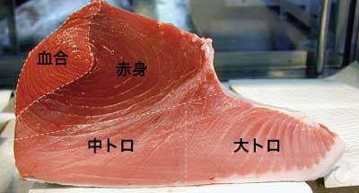 kuromaguro1