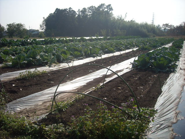 DSCN3573